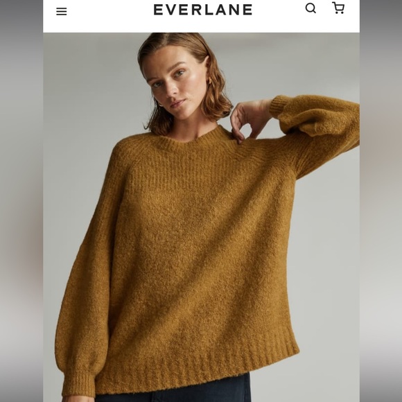 BNWT Everlane SuperFuzz Alpaca Oversized Crew - Picture 5 of 9